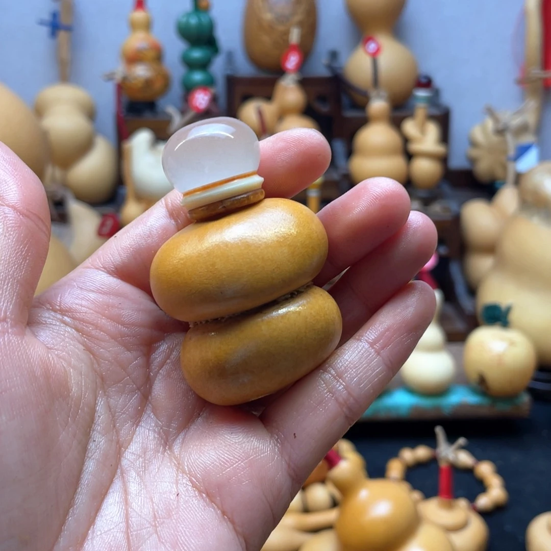 小*海大自然的秘密第十一节