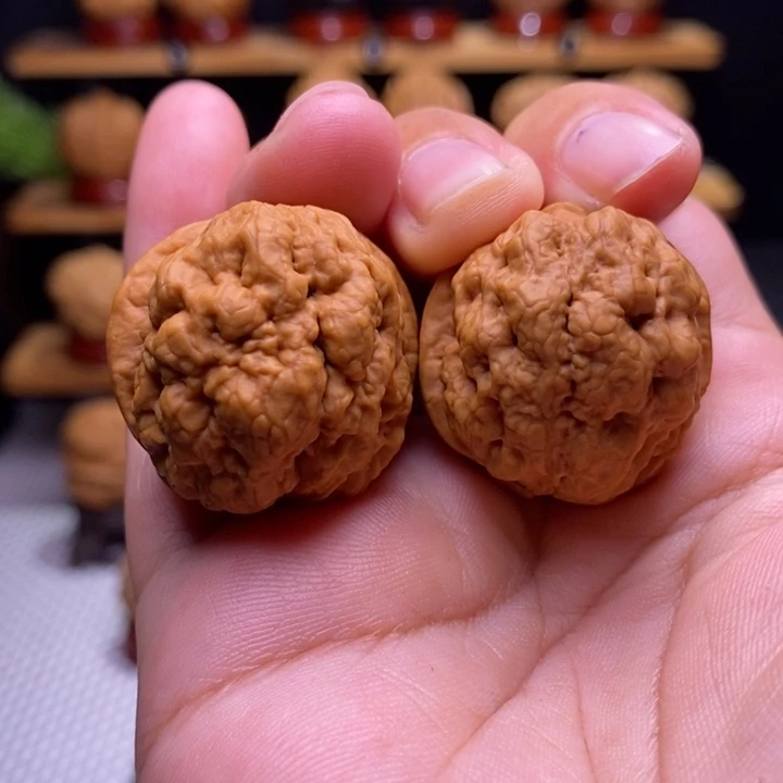 核桃云铁血舍利3号