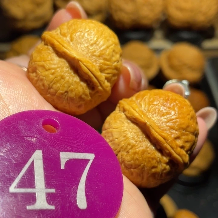 鸽子蛋核桃尺寸31