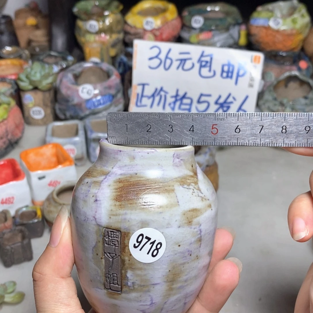 拍3送一个小礼物