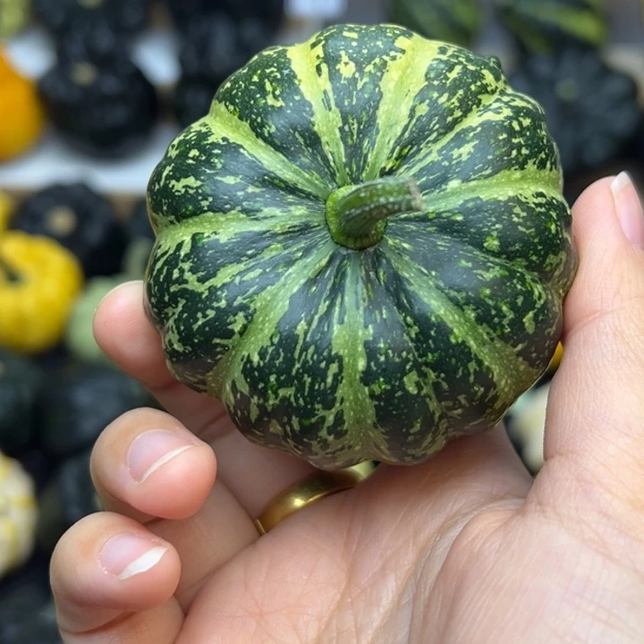 烈*福利福利福利福利