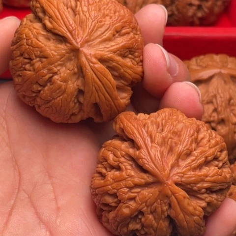 文玩核桃把件秦岭山脉核桃