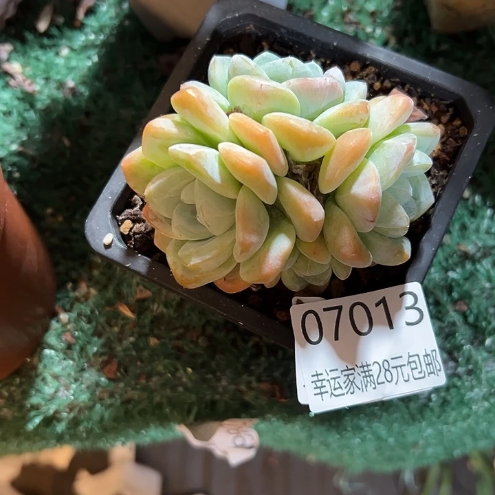 幸运的是我还没遇到