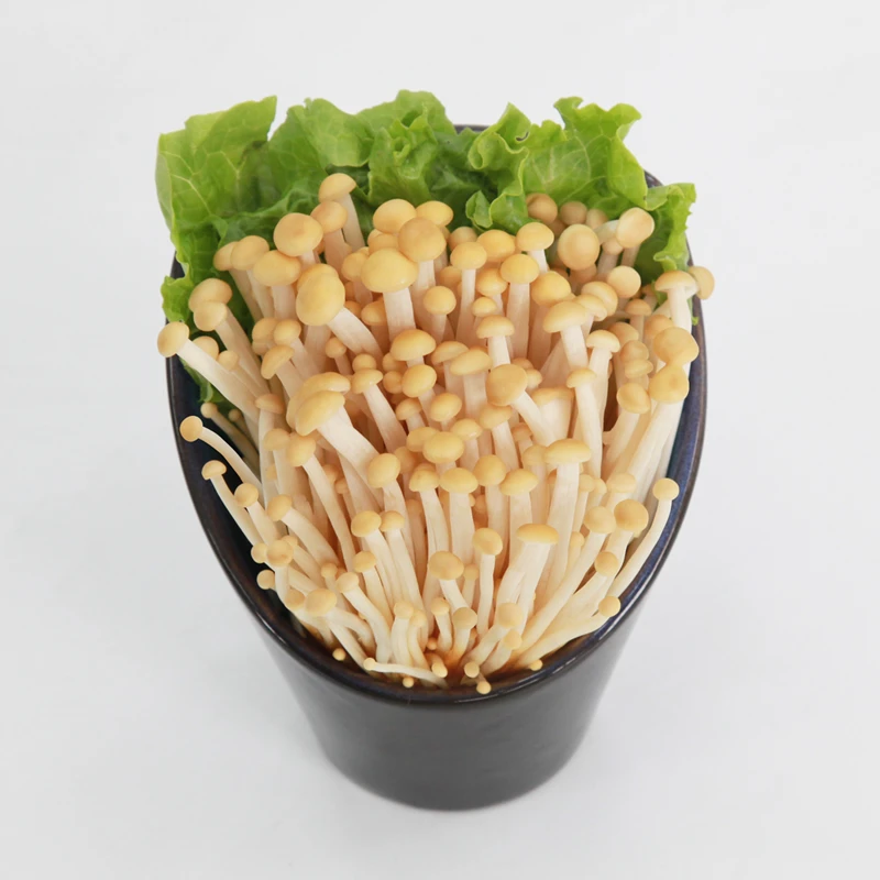 （黄）雪榕黄针菇400g金针菇
