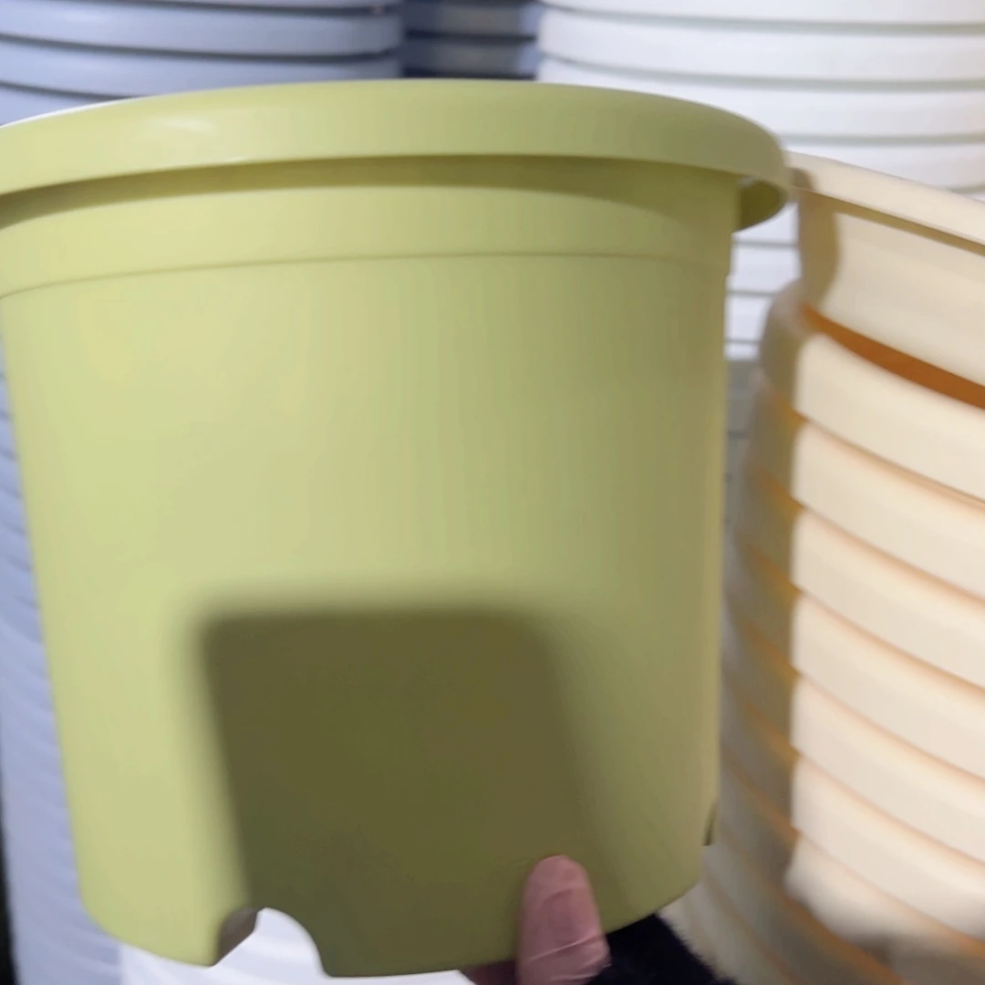 树脂四季3#无拖果绿10个