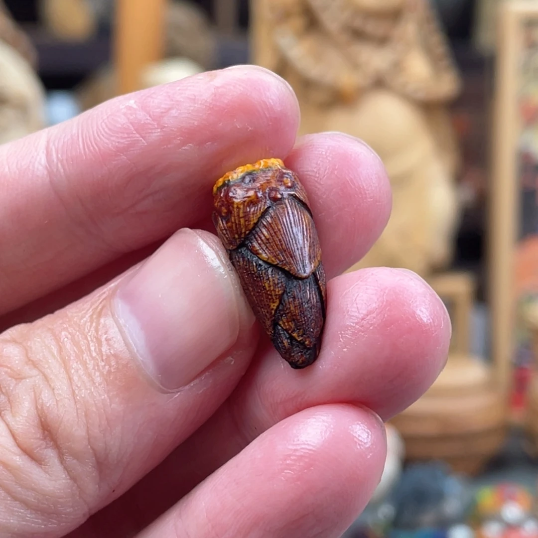 七***。木方颜竹木艺术吊坠