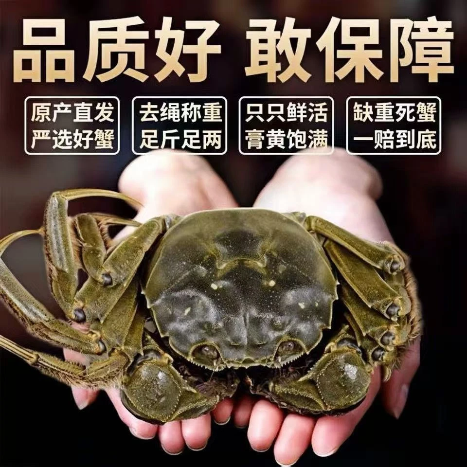 【活蟹河蟹20只】买10只（1-1.3两）母蟹送10只（1-1.3两）公蟹