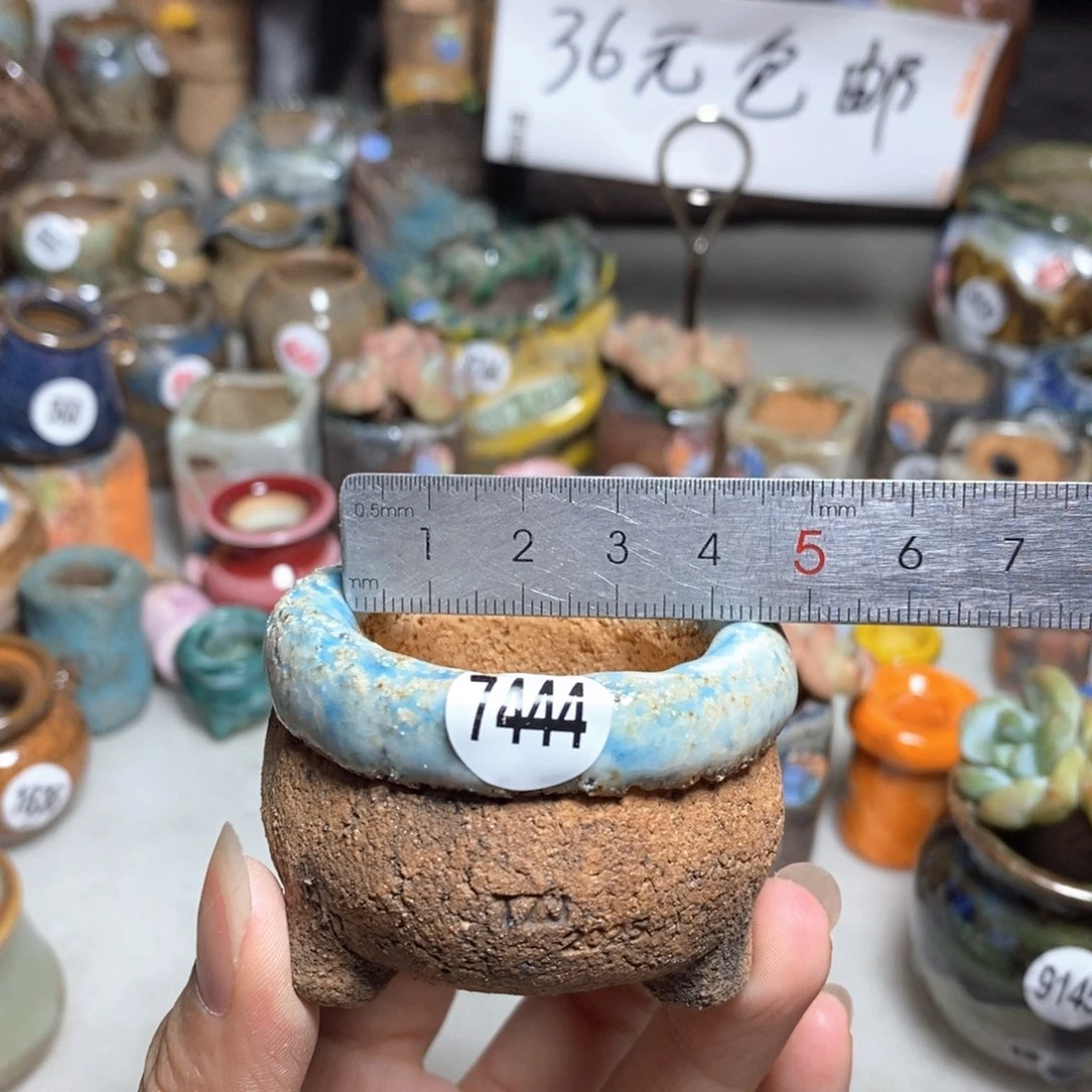 拍3送一个小礼物