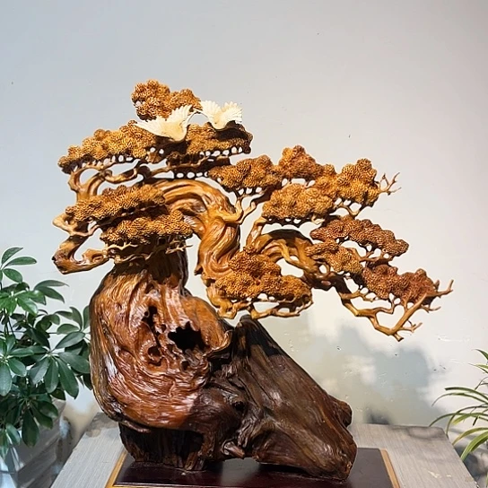 柏木磊**凡迎客松精品