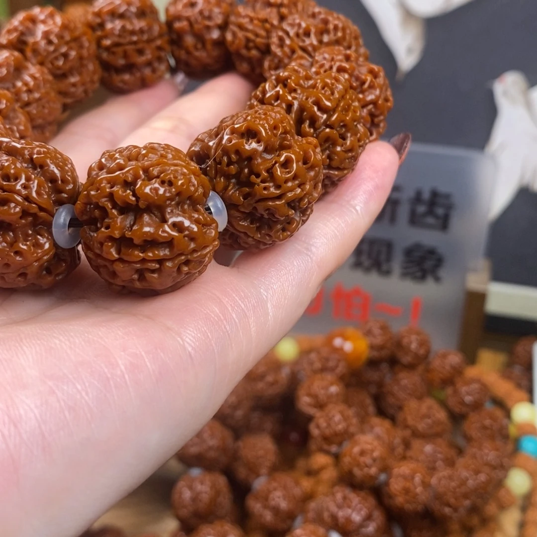 吊坠金刚菩提245。 13 颗。