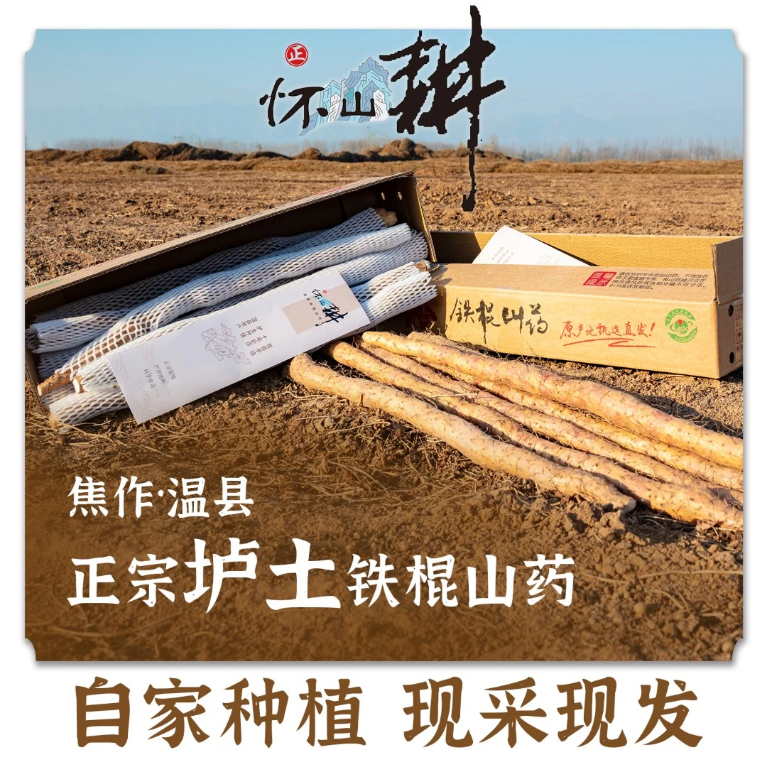 【现挖现发】温县垆土铁棍怀山药铁棍山药净重5斤装顺丰包邮