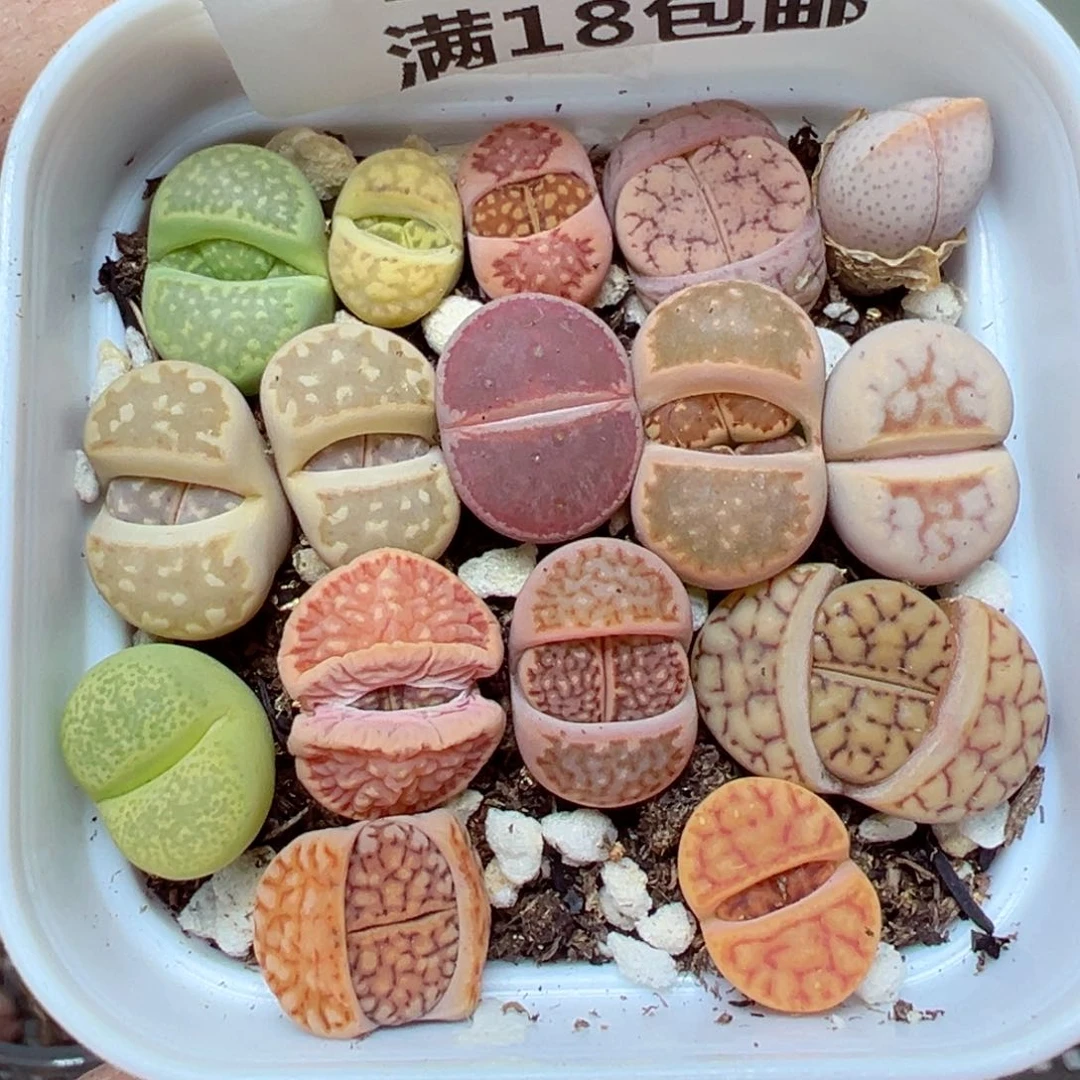 【闪购商品】1685……