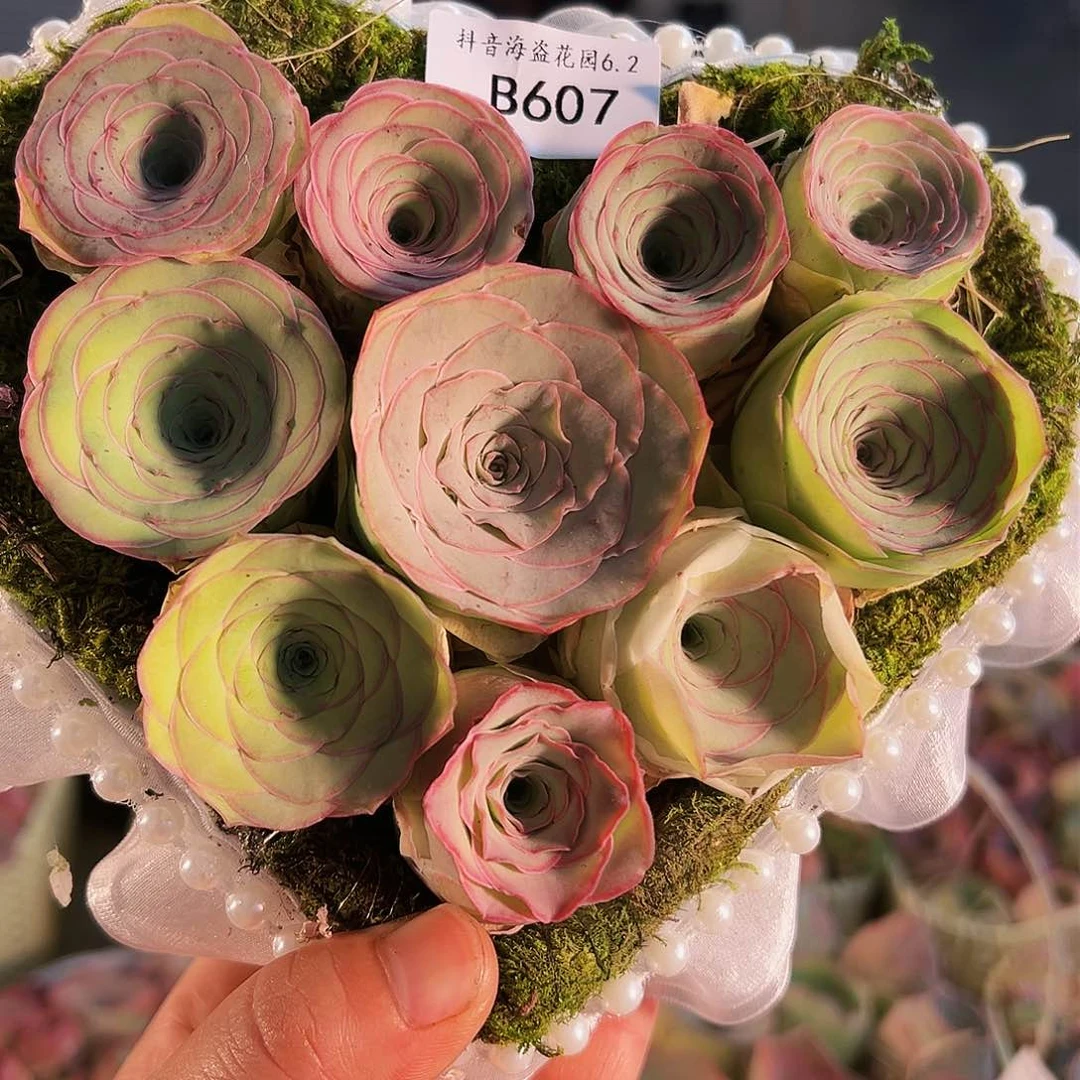 娜*子边线花篮心形。B907.907