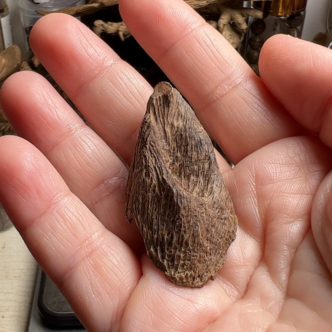 沉香碎屑沉香加里曼丹坤甸沉水料2.6克