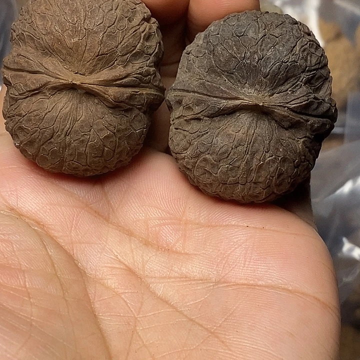 把件文玩核桃云南铁核桃74