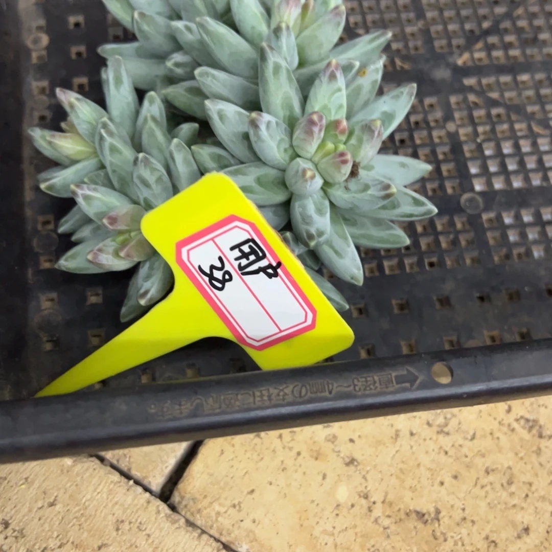 用***1我不喜欢别人这样说话，用户38