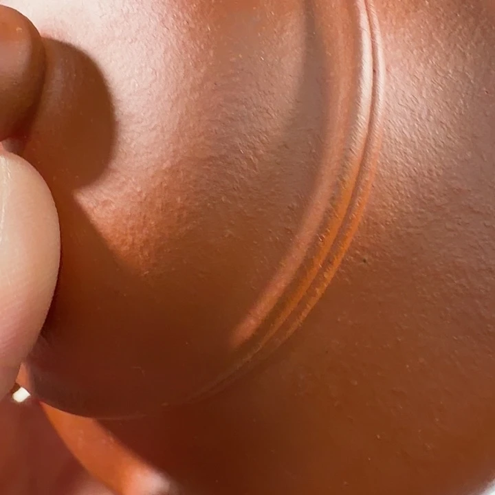 抱***婆紫砂茶壶vgggghjjjjjjjjhhhhhhg