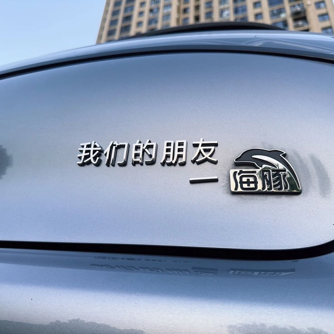 比亚迪海豚豹一下我们的朋友铁锅炖你K吗3D立体个性创意文字定制