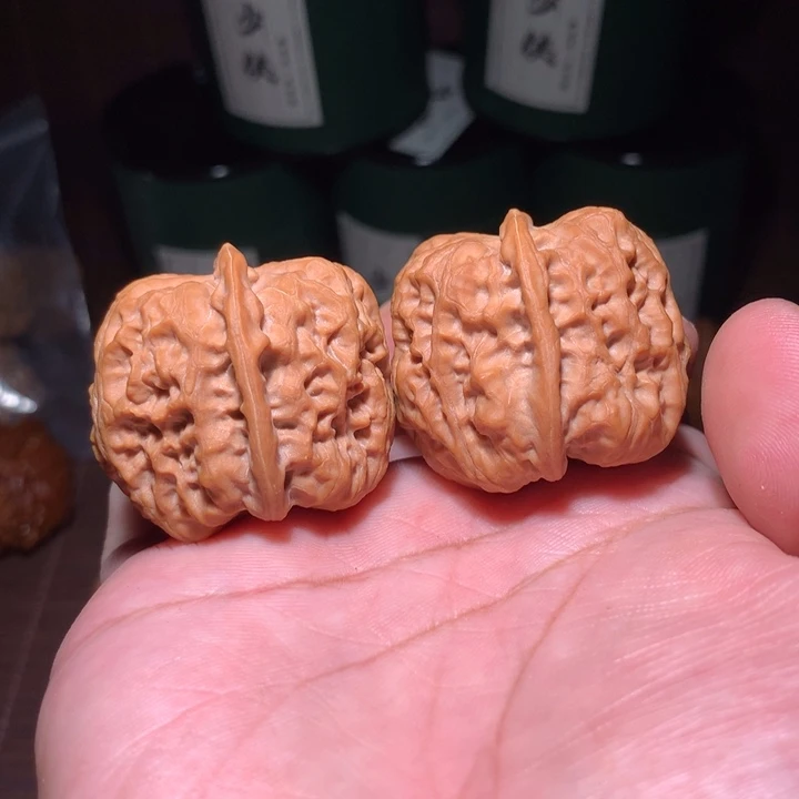 核桃金钟37全品蜡皮