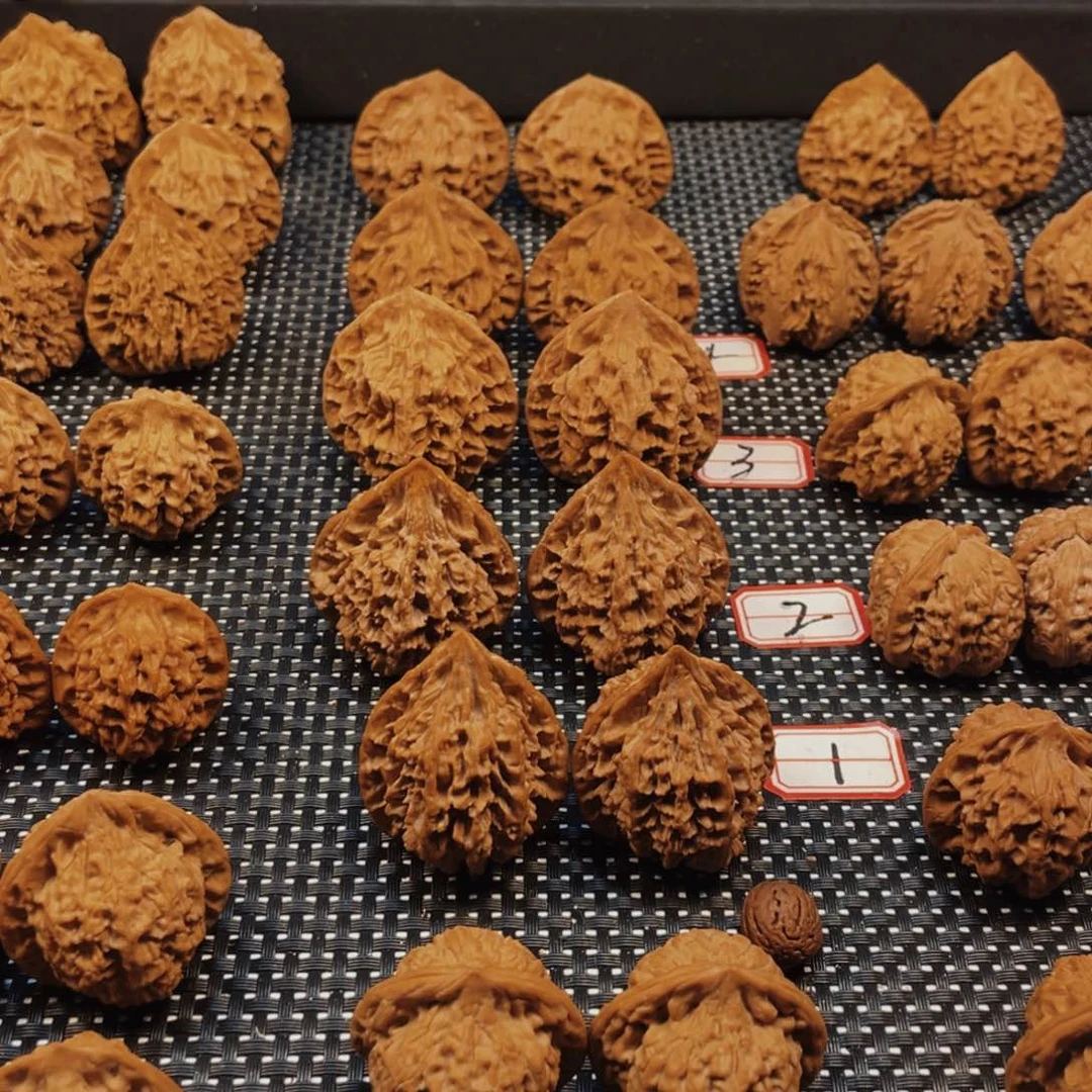 ?*秦岭然而他人着想