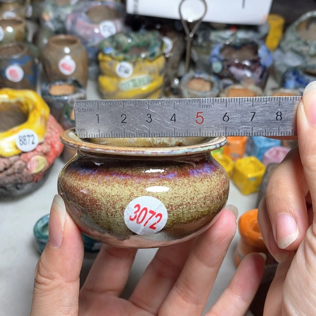 拍5送一个小礼物