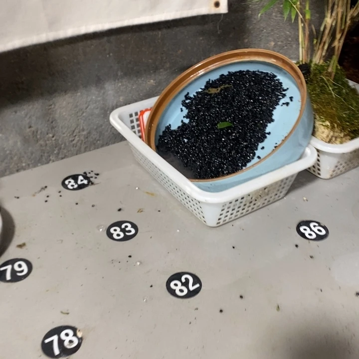 滄***梧完全开放一物一拍388