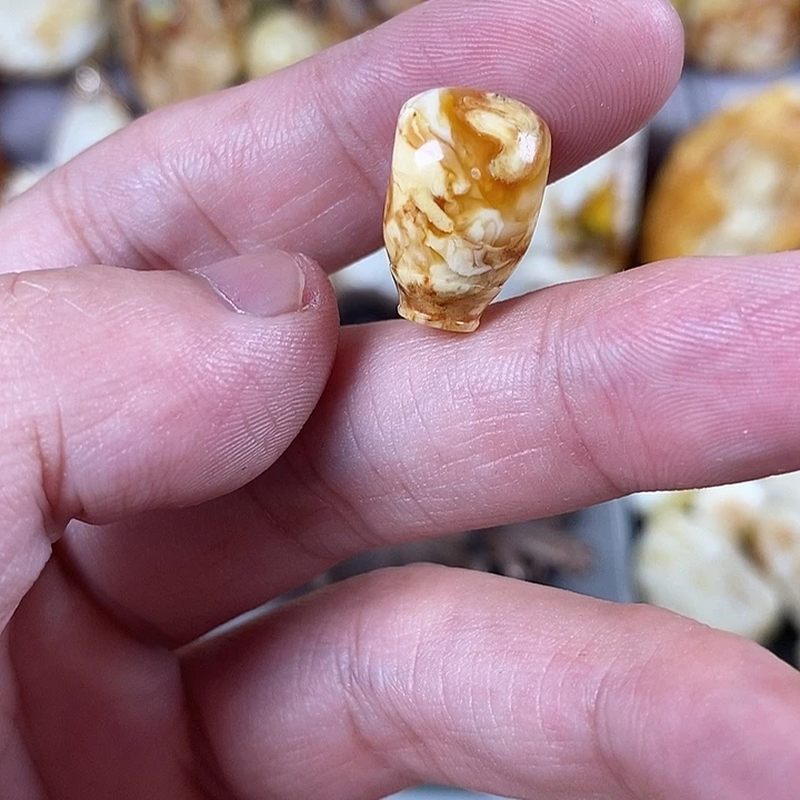 裸石琥珀未镶嵌我