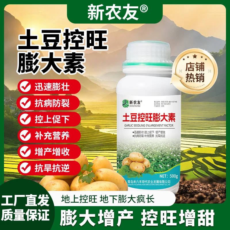 土豆控旺膨大素迅速膨壮抗病防裂补充营养增产增收土豆专用