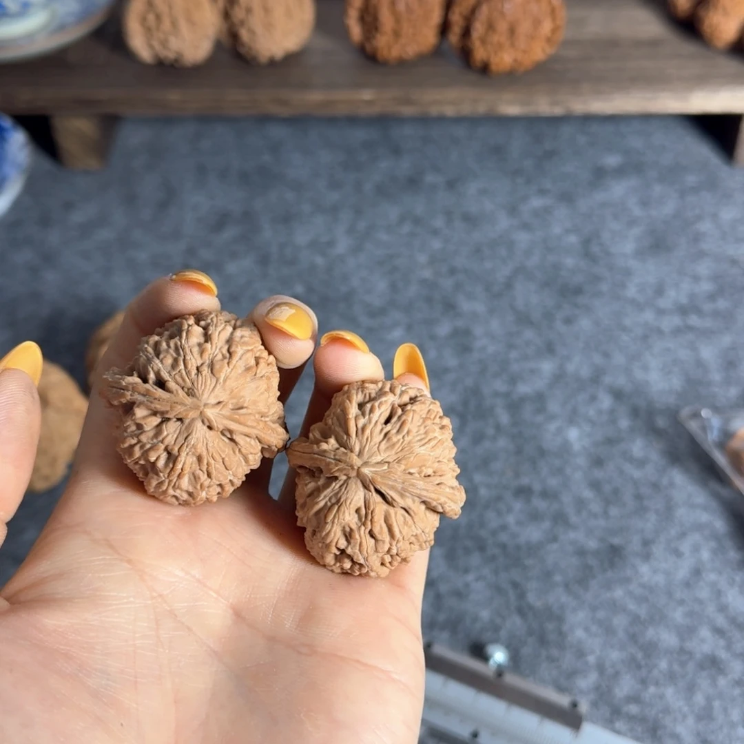 全品3738白狮子白茬走色快不退换