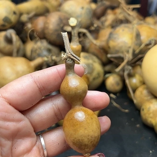 _***@葫芦葫芦葫芦葫芦葫芦