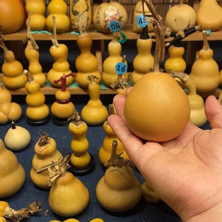 威***威11111111111111111111