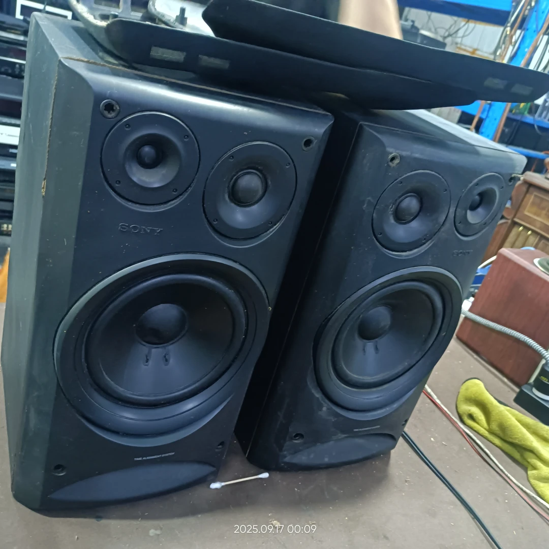 9新  sn 90g 书架音箱（成色不好）