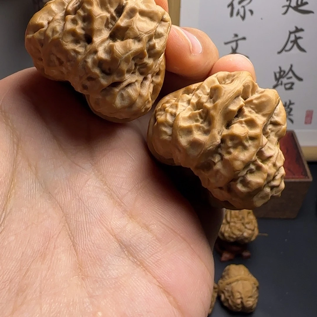 满****蛤蟆头41✖️43尺红皮