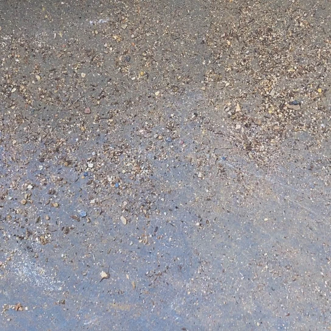 钱****）578盆土肉植物保护研究所