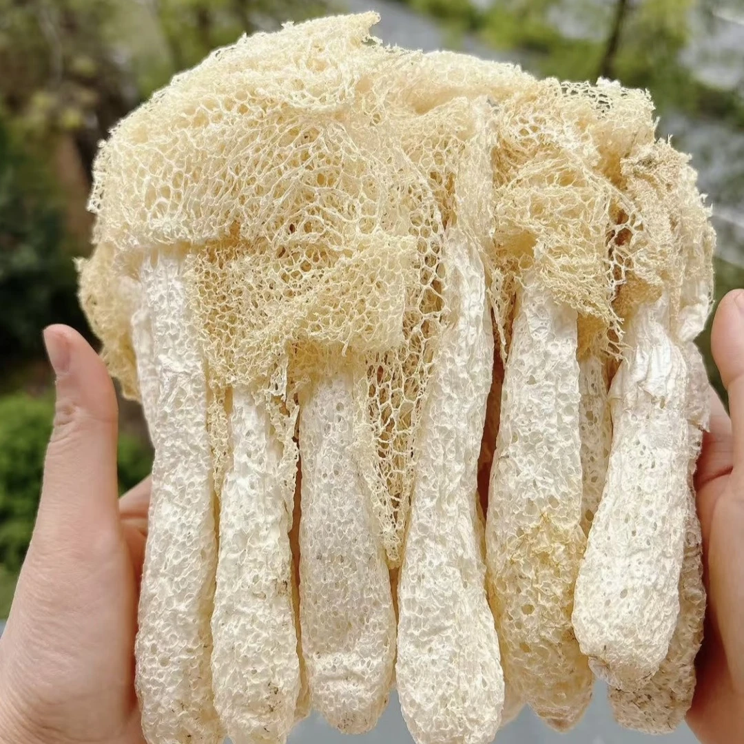 当季采摘烘干无硫竹荪竹荪菌干货煲汤火锅好食材抖音新鲜