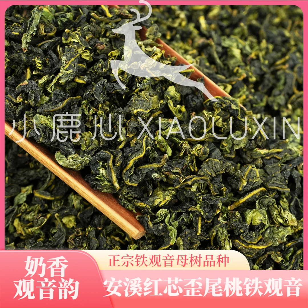①2025春茶安溪红心铁观音 小鹿收茶 正味兰花香乌龙茶 罐装