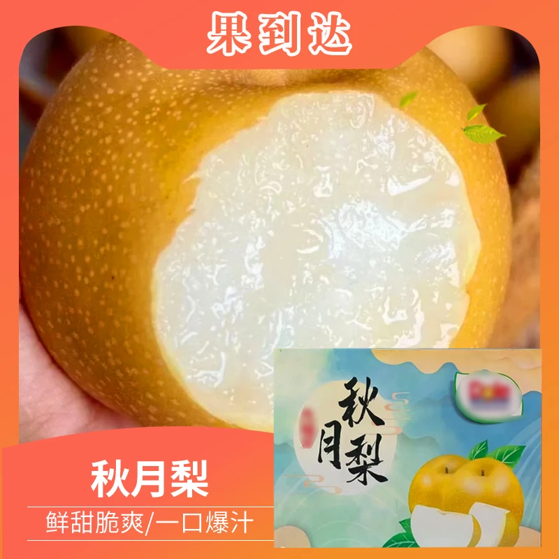 【礼盒】dl山东秋月梨净重6斤7粒