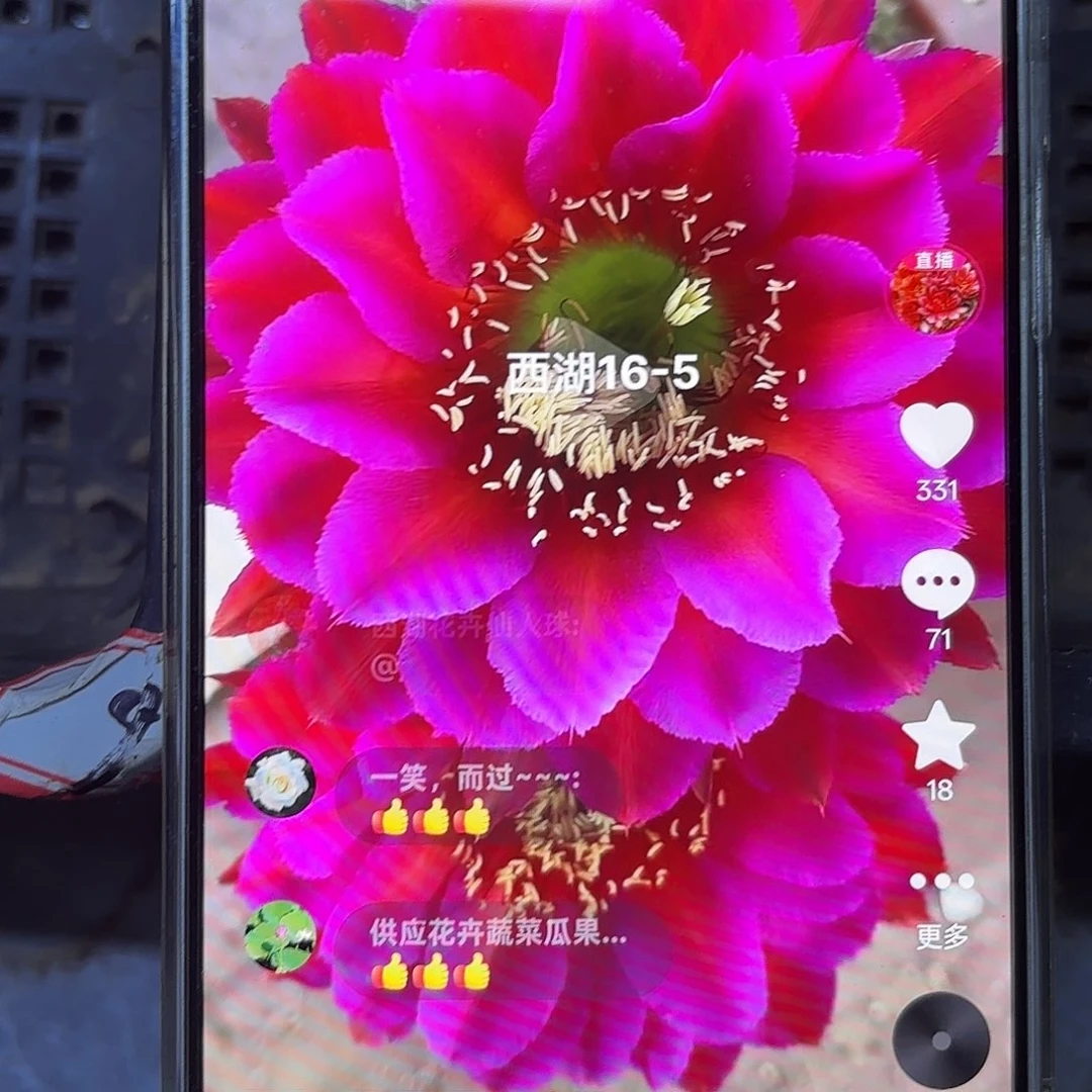 16-5彩公分20包邮55