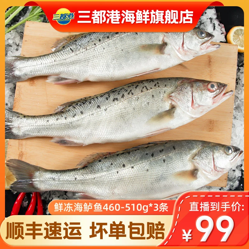 三都港鲜冻海鲈鱼460-510g*3/5条新鲜花鲈鱼现捕冷冻【自播专享】
