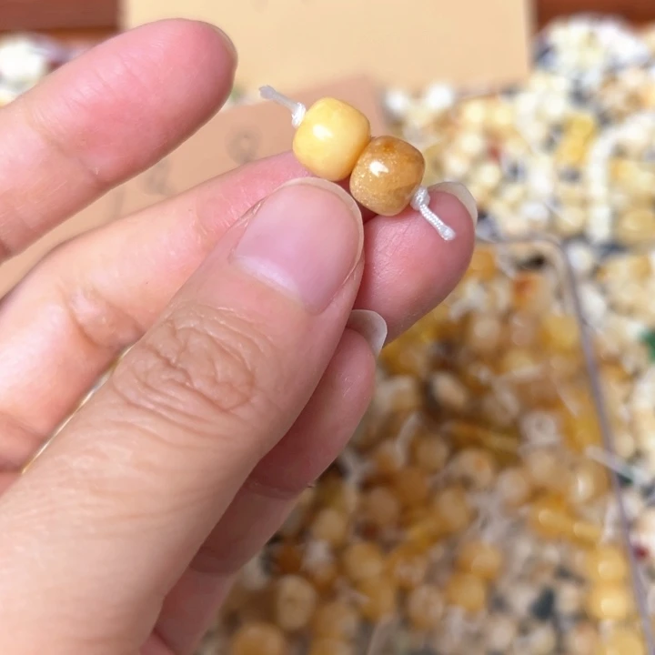 蜜蜡未镶嵌裸石8.3mm一对