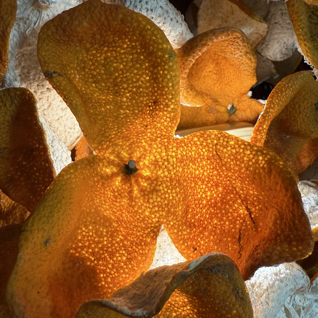 2025广西浦北茶枝柑大红皮 高品质自然生晒干仓收藏送礼佳品