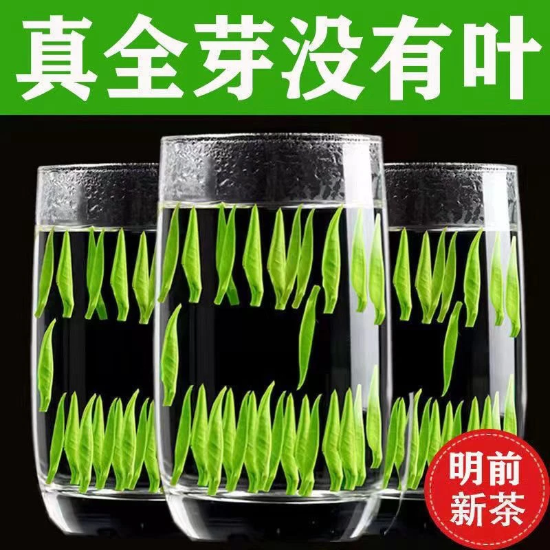 特级绿茶2025新茶正宗湄潭芽茶雀舌毛尖贵州高山浓香型茶叶雀舌茶