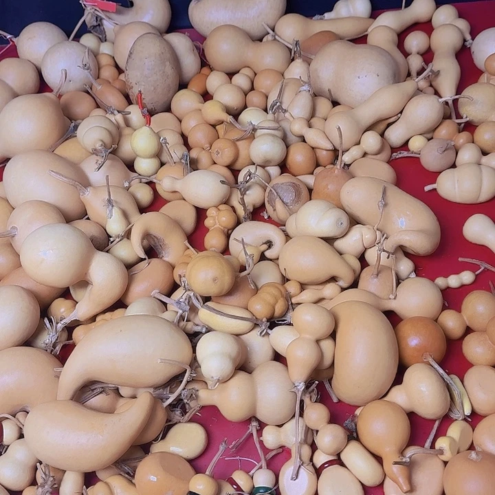 尼***泽我在看书啊没看电视你呢怎么办