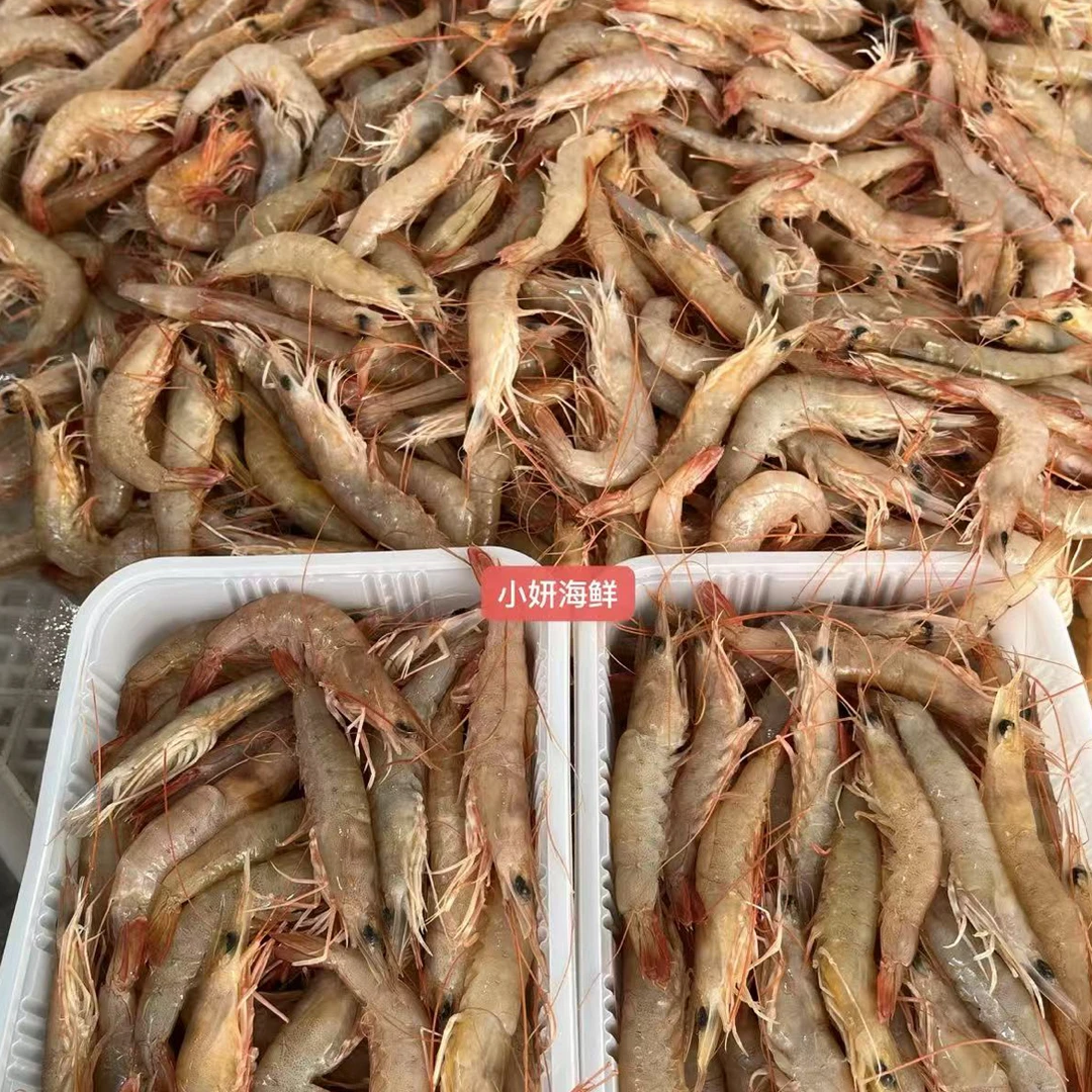 新鲜鹰红虾3斤顺丰冷链