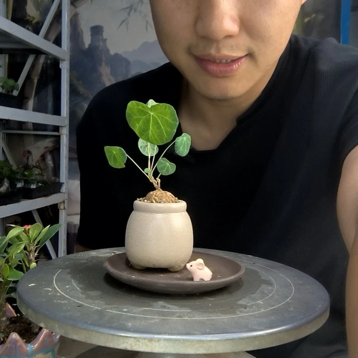 榨**了中青园艺一物一拍158