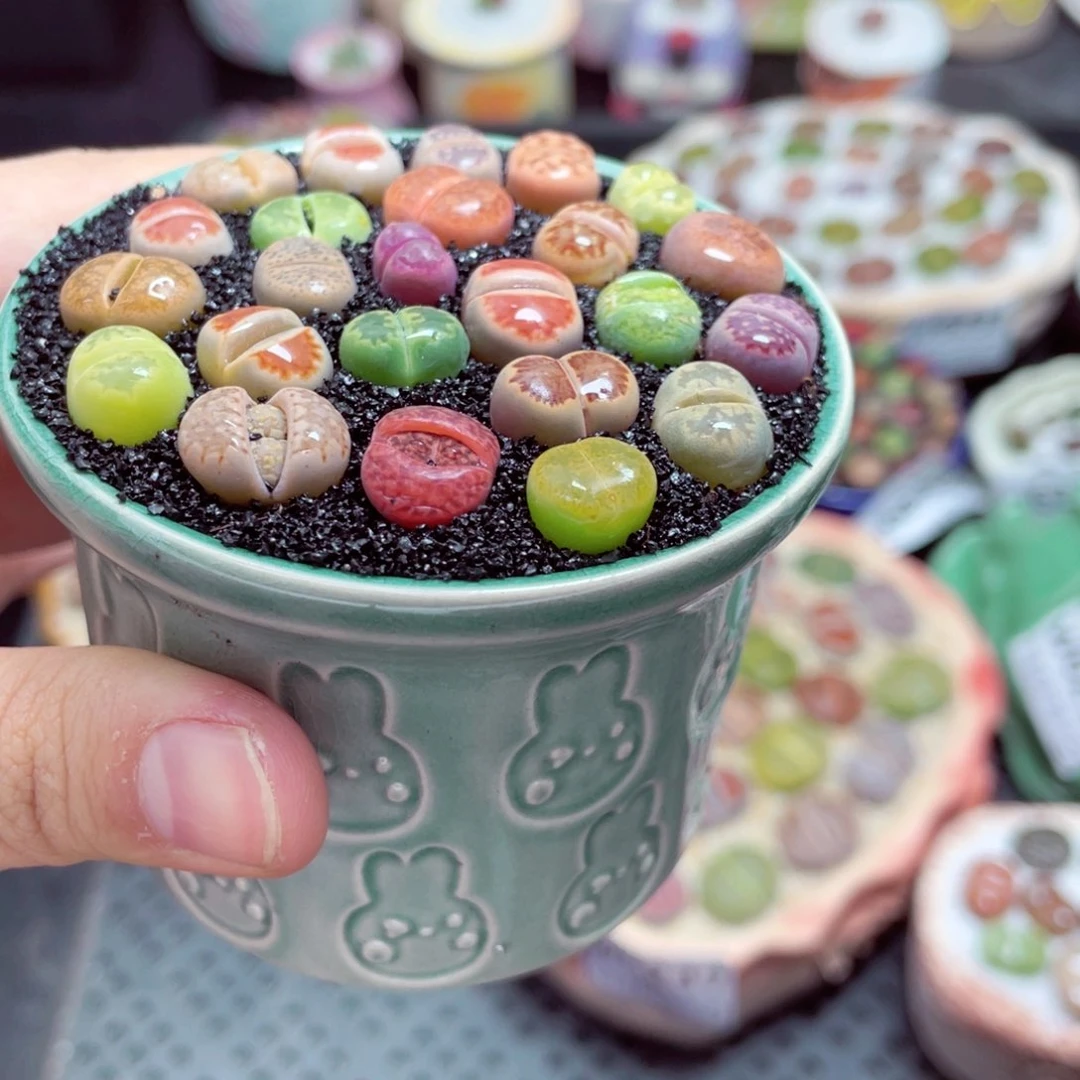 w6240 -零下地区保温箱-15支持寄养