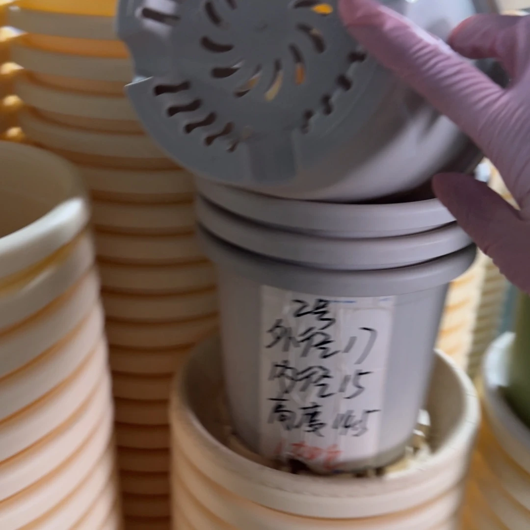 四季2#口径17无拖灰白6个