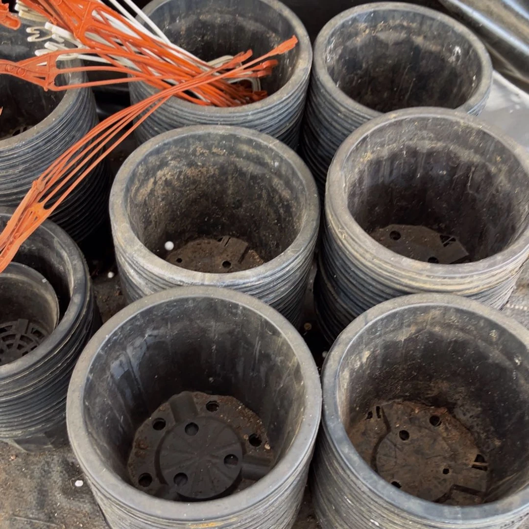 旧口径16高度13黑砖盆20个