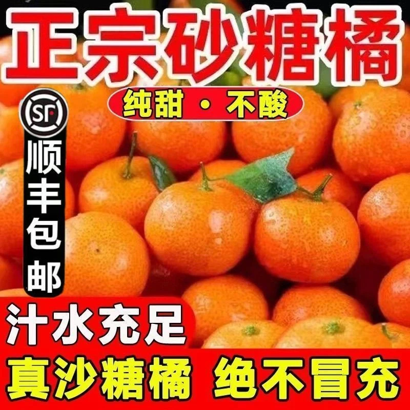 正宗广西沙糖桔纯甜整箱水果薄皮砂糖批发