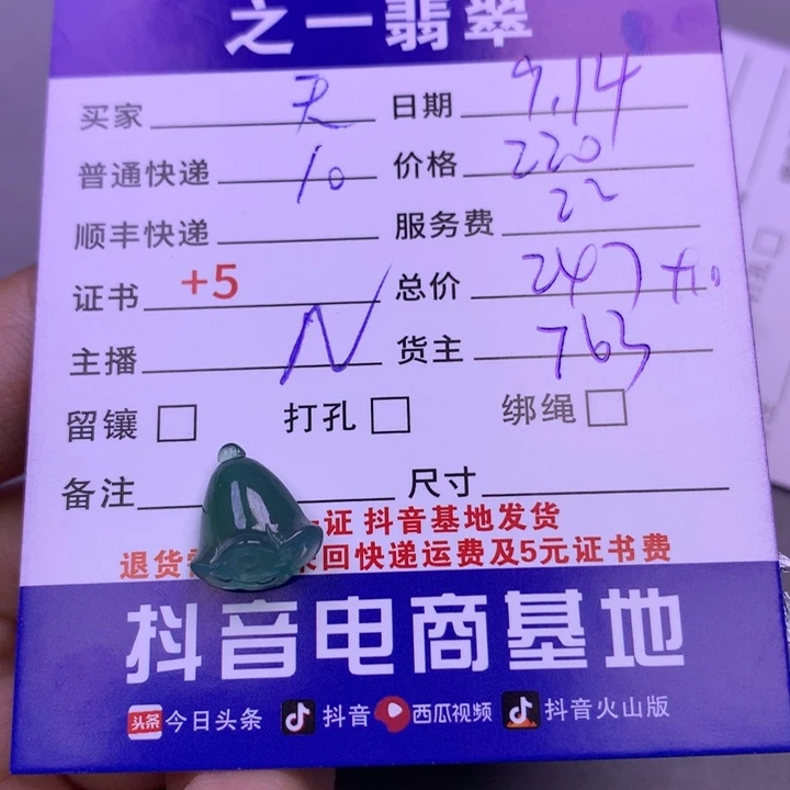 颈饰未镶嵌翡翠天**雕